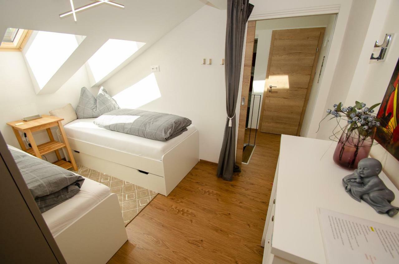 Penthouse Apartment Zell Am See With Lake And Mountain View المظهر الخارجي الصورة